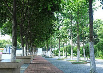 寧夏幼兒師范高等?？茖W(xué)校幼兒師范學(xué)哪些專業(yè)