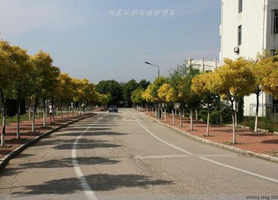 銀川大學中考沒考好該如何選擇