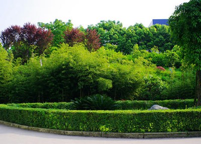 紅河州高級技工學校(云南紅河技師學院)