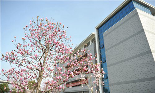 重慶交通職業(yè)學(xué)院動(dòng)車組檢修技術(shù)專業(yè)簡介
