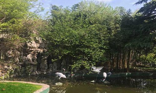重慶市藝才技工學(xué)校熱門(mén)專業(yè)有哪些及課程設(shè)置是什么？