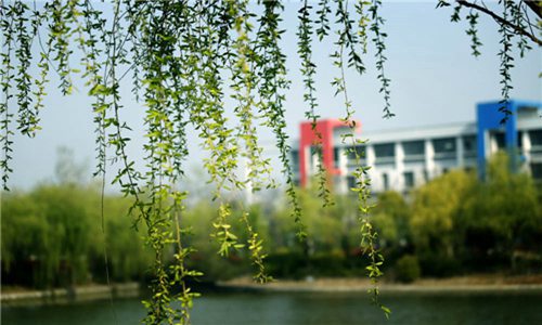 重慶青年職業(yè)技術學院社區(qū)管理與服務專業(yè)簡介