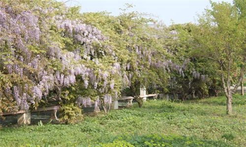 晉中師范高等?？茖W(xué)校英語教育專業(yè)招生介紹