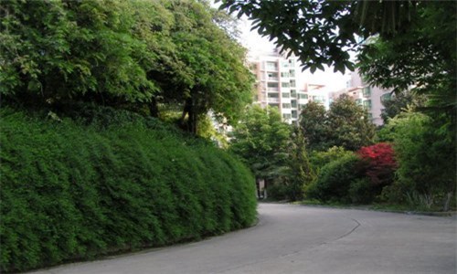 2023年重慶幼兒師范高等?？浦新殞W(xué)校有哪些