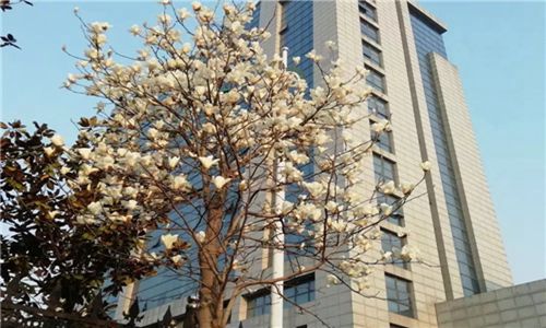 2023年重慶職業(yè)中專學(xué)校那些比較好