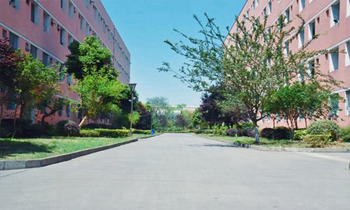 福州英華職業(yè)學(xué)院計(jì)算機(jī)網(wǎng)絡(luò)技術(shù)專(zhuān)業(yè)招生介紹