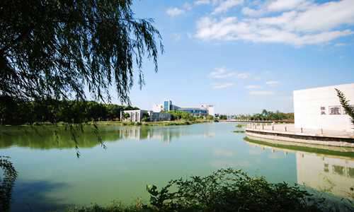 浙江經(jīng)貿(mào)職業(yè)技術(shù)學(xué)院軟件技術(shù)專業(yè)招生介紹