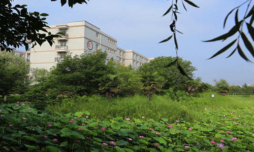 安徽工商職業(yè)學(xué)院動漫制作技術(shù)專業(yè)招生介紹