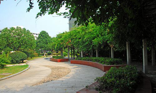 福建藝術(shù)職業(yè)學(xué)院音樂表演專業(yè)招生介紹