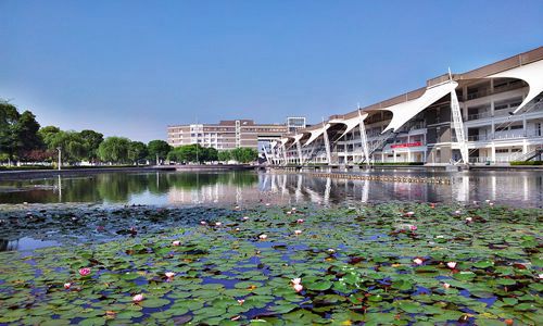 重慶舞蹈學(xué)校2023年專業(yè)有哪些招生要求