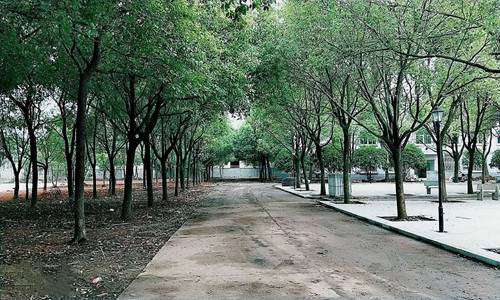 臺(tái)江民族中等職業(yè)技術(shù)學(xué)校學(xué)前教育專業(yè)設(shè)有哪些主要課程