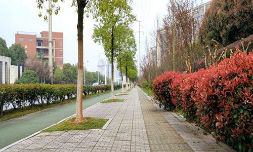 山東化工職業(yè)學(xué)院高分子材料工程技術(shù)專業(yè)專業(yè)介紹