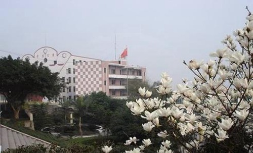 福州英華職業(yè)學院大數(shù)據(jù)技術(shù)與應(yīng)用專業(yè)招生介紹