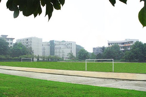 遼寧農(nóng)業(yè)職業(yè)技術(shù)學(xué)院寵物臨床診療技術(shù)專業(yè)介紹