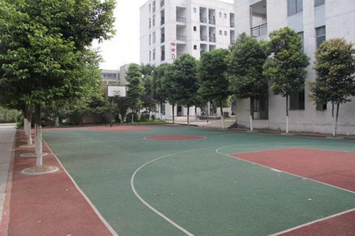 安徽現(xiàn)代信息工程職業(yè)學(xué)院計(jì)算機(jī)網(wǎng)絡(luò)技術(shù)專業(yè)介紹