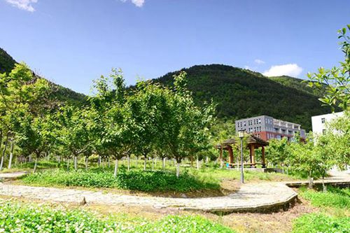 石河子大學(xué)醫(yī)學(xué)院高考沒考好還能讀大學(xué)嗎