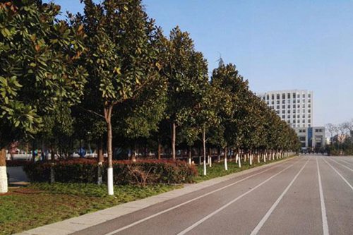 江西師范大學(xué)學(xué)院航空無人機(jī)管理就業(yè)前景