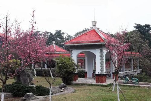 山東交通職業(yè)學(xué)院工程機(jī)械運(yùn)用技術(shù)專業(yè)介紹