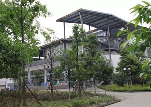 昌吉學(xué)院2022年分數(shù)線多少