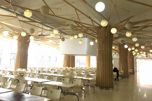 民辦合肥財經職業(yè)學院旅游管理專業(yè)介紹