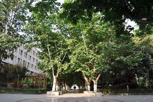 甘肅農業(yè)職業(yè)技術學院園藝技術專業(yè)介紹
