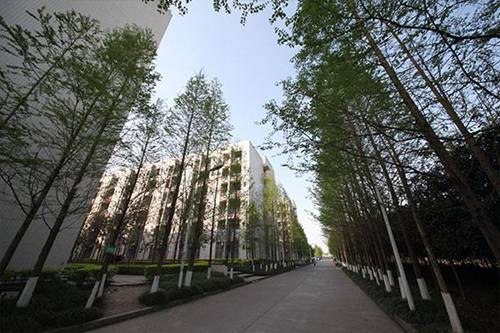 蘭州石化職業(yè)技術(shù)學(xué)院會計電算化專業(yè)介紹