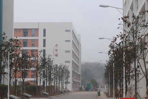 運城幼兒師范高等?？茖W校音樂教育（舞蹈方向）專業(yè)介紹