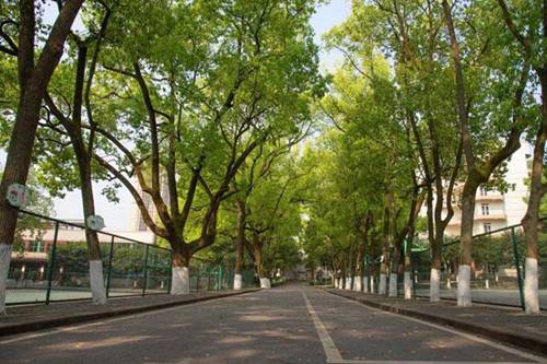 石家莊機(jī)電職業(yè)中專航空空乘航空商務(wù)專業(yè)就業(yè)方向