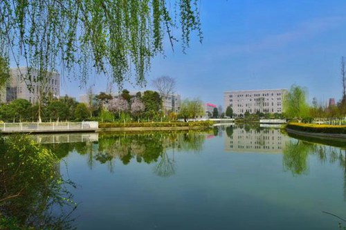 石家莊經(jīng)濟(jì)汽車職業(yè)學(xué)院2022年招生分?jǐn)?shù)線