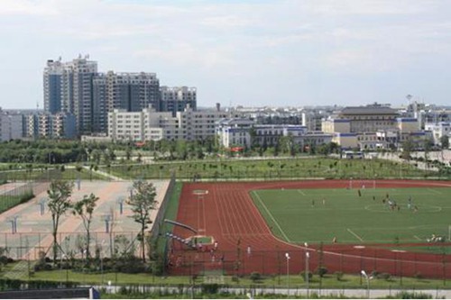 河北旅游職業(yè)學院航空空乘航空商務專業(yè)就業(yè)方向