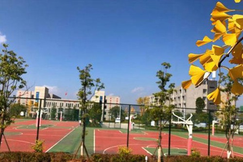 山西老區(qū)職業(yè)技術(shù)學(xué)院康復(fù)治療技術(shù)專業(yè)介紹