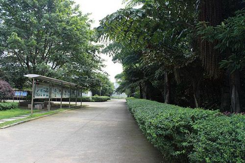 石家莊商務(wù)外貿(mào)中等專業(yè)學校航空空乘民航商務(wù)專業(yè)就業(yè)方向與前景分析