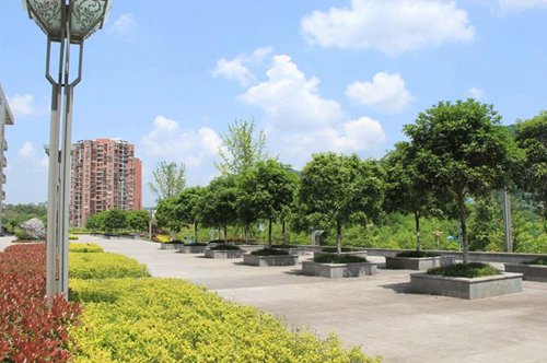 廈門2023人工智能一個月工資多少好就業(yè)？