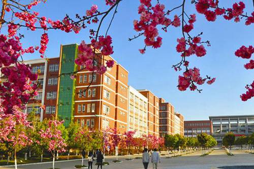 2022年安徽醫(yī)科大學醫(yī)學檢驗技術(shù)（中外合作培養(yǎng)）專業(yè)招生
