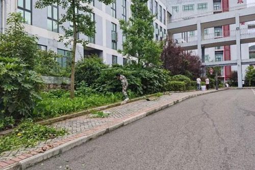 承德汽車技師學(xué)院2022年3+2五年制大專招生簡章