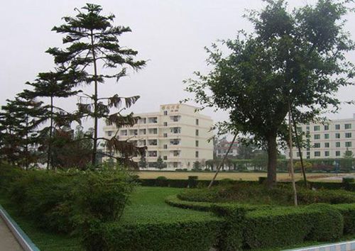 石家莊平安醫(yī)學(xué)中等專業(yè)學(xué)校護(hù)理專業(yè)就業(yè)前景怎樣