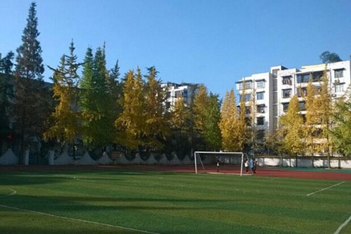 城固職業(yè)教育中心2023年招生要求多少分怎么樣