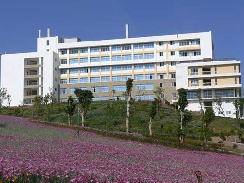 廈門2023計算機信息管理專業(yè)學什么 有哪些課程