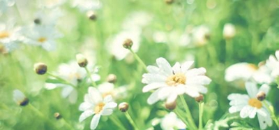 廣西工程職業(yè)學(xué)院工程造價專業(yè)介紹