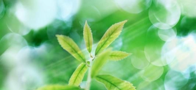 重慶農業(yè)機械化學校好不好?重慶農業(yè)機械化學校介紹