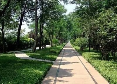 重慶市開州區(qū)職業(yè)教育中心開設(shè)專業(yè)都有哪些