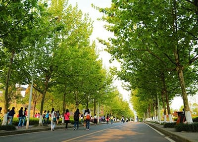 廣西外國語學院應用西班牙語專業(yè)介紹