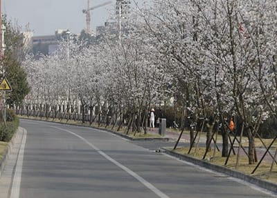 六盤水市民族職業(yè)技術(shù)學校