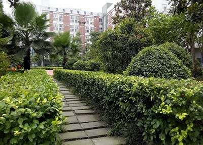 廣西經(jīng)貿(mào)職業(yè)技術(shù)學(xué)院營(yíng)銷與策劃專業(yè)介紹
