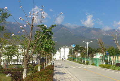 大理農(nóng)林職業(yè)技術(shù)學院