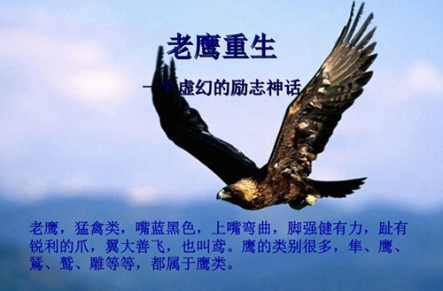 夾江縣云吟職業(yè)中學校2025年招生要求有哪些