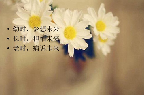 鹿城職業(yè)技術(shù)學(xué)校2025年招生要求有哪些