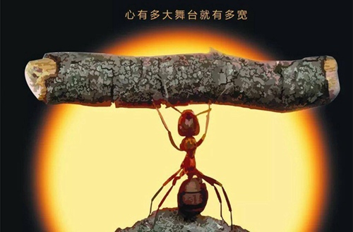 2025重慶市商務(wù)高級技工學(xué)校開設(shè)的專業(yè)一覽表