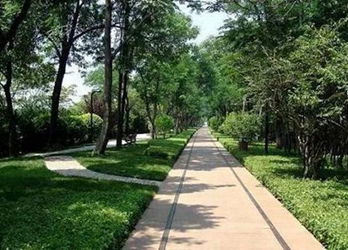 四川省體育運動學校2025年招生條件是什么