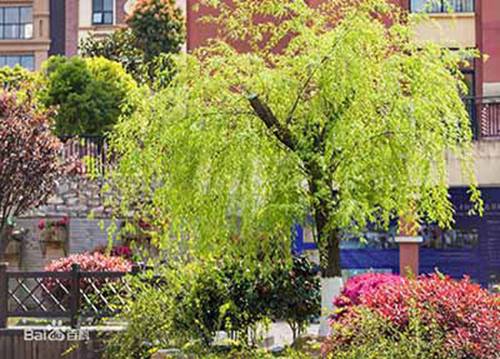 自貢市永安職業(yè)中學(xué)校2024年宿舍條件